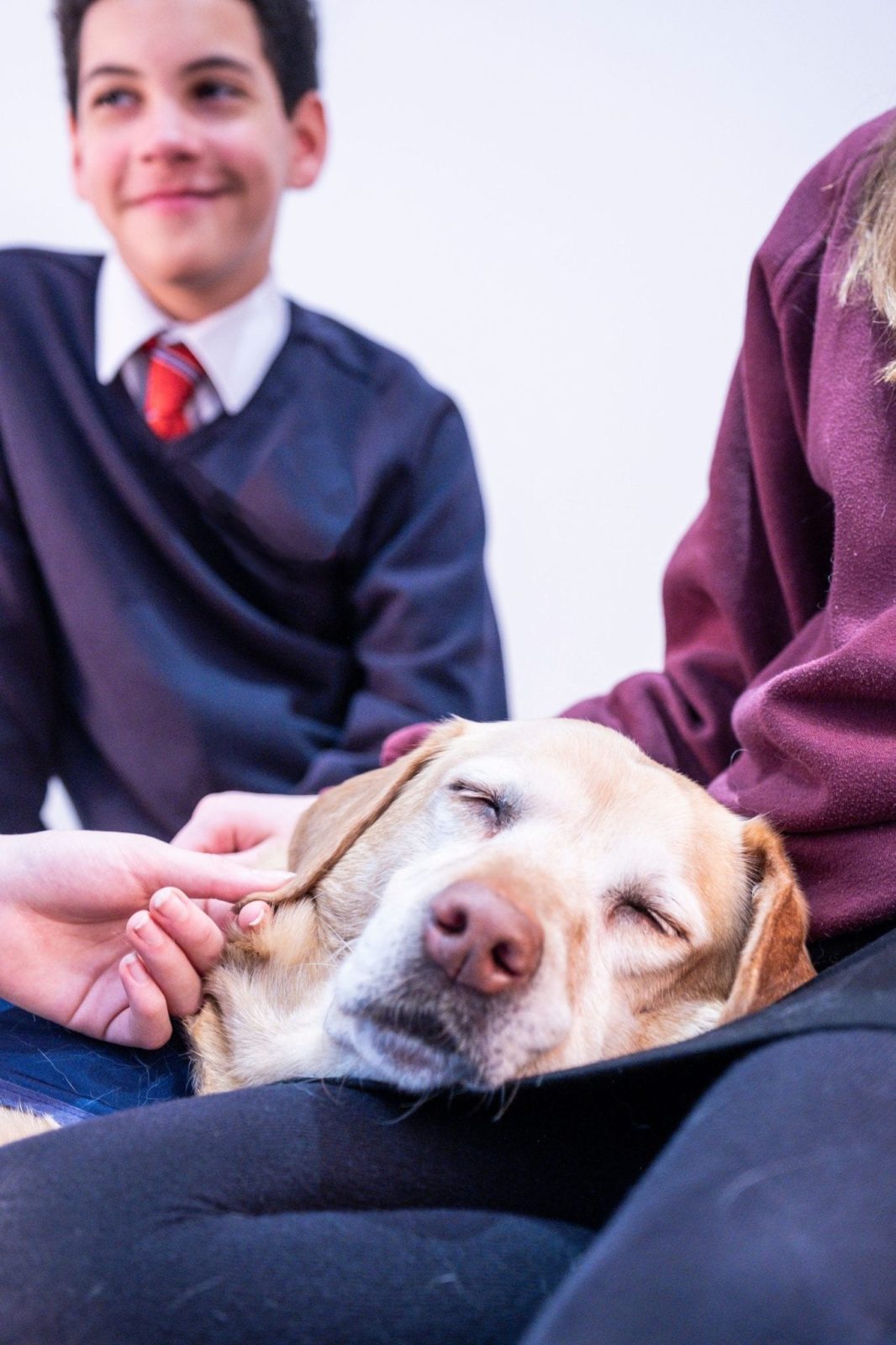 Portrait of pupils accompanied by a CAL dog - www.canineassistedlearning.com
