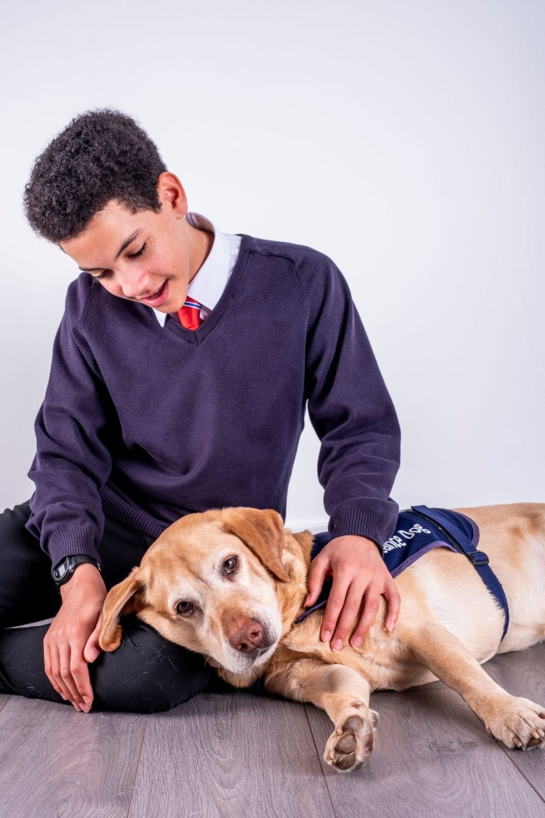 School pupil with a CAL dog - www.canineassistedlearning.com