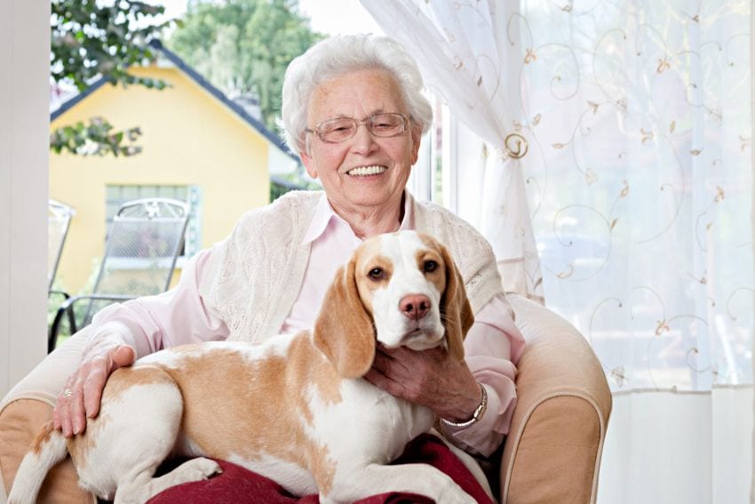 Photo of Senior woman with her dog at home - www.canineassistedlearning.com