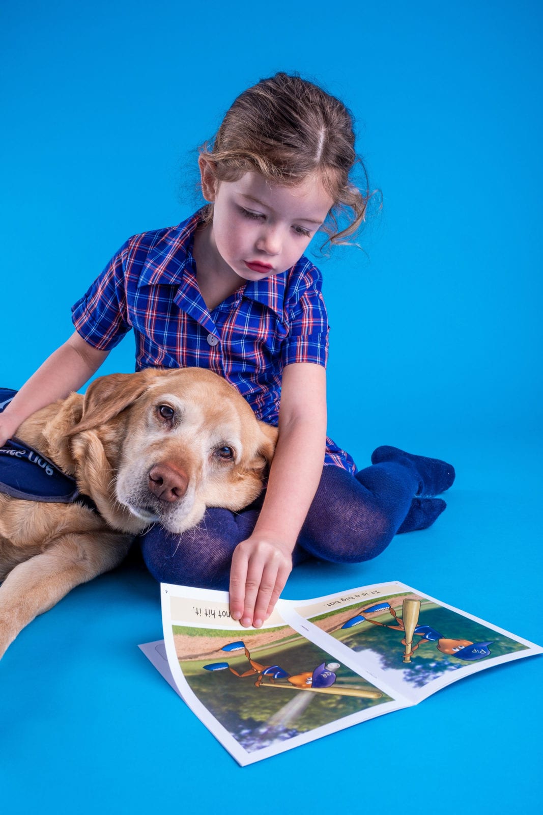 Nursery pupil with a CAL dog - www.canineassistedlearning.com