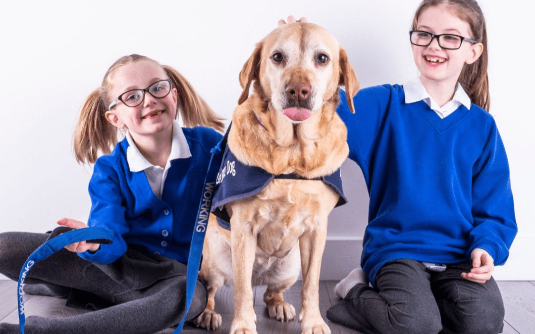 Should Every School Have A “Dog As  A Stress Buster”?