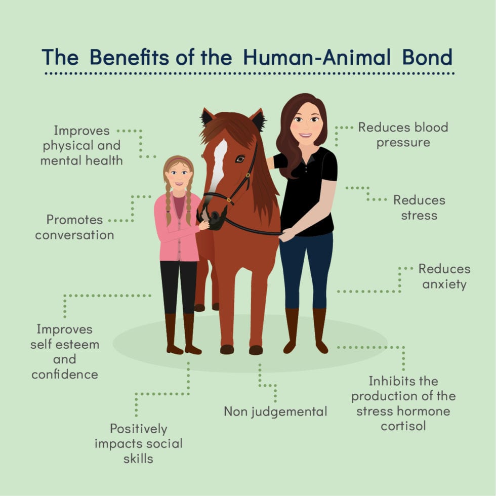 equine therapy business plan