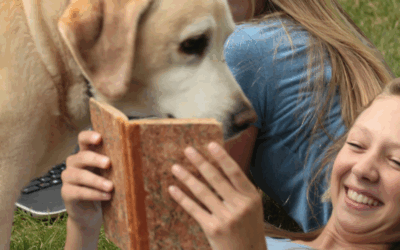 Paws for Thought: How School Dogs Are Helping Students Tackle Exam Stress