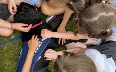 How How Our School Dogs Are Strengthening School Communities for Mental Health Awareness Week 2025